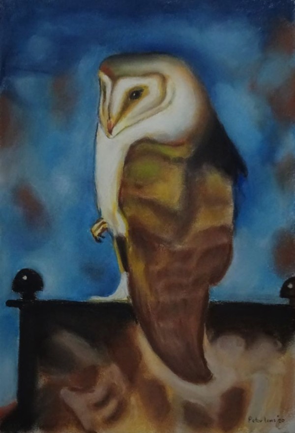 Jan Mankes uil uit 1913 (1).jpg