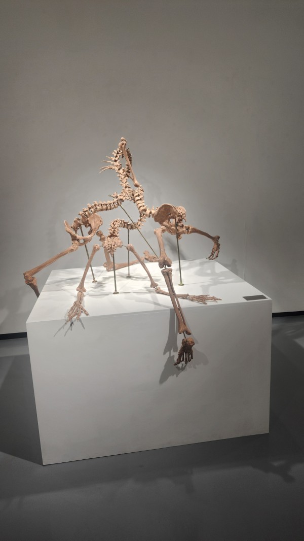b79e56741466c542b826e9514147eb8c_1760098857_325.jpg