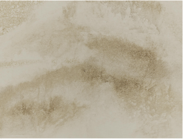 c561f750bfe7941ff75a18024a1e5ec4_1765950595_4066.png